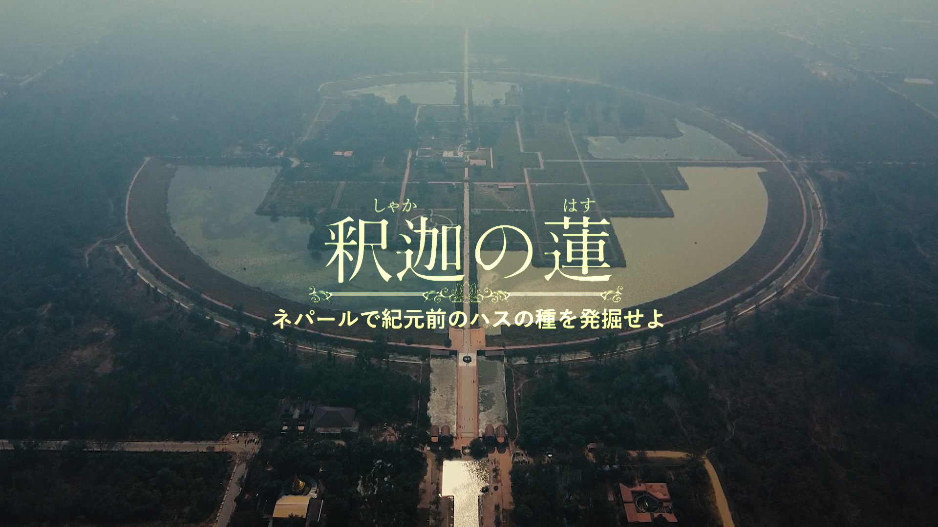 蓮の花をモデルにネアリカで作りました。 ffdd07bbbe75f73ddd53b7fe1d8a39