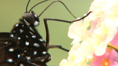 ga090516_1