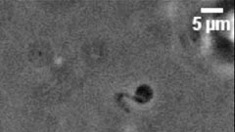 ga100417_3 ga100417_3