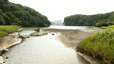 ga101016_4 ga101016_4